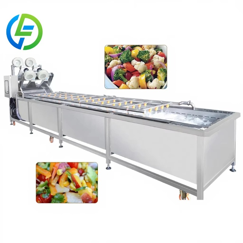 Baby Food Vegetables - Customized Baby Food Fruit Washer Elevator